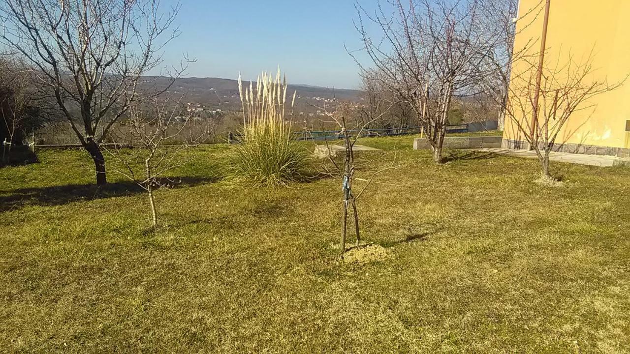 Ema Apartment Labin  Exterior photo